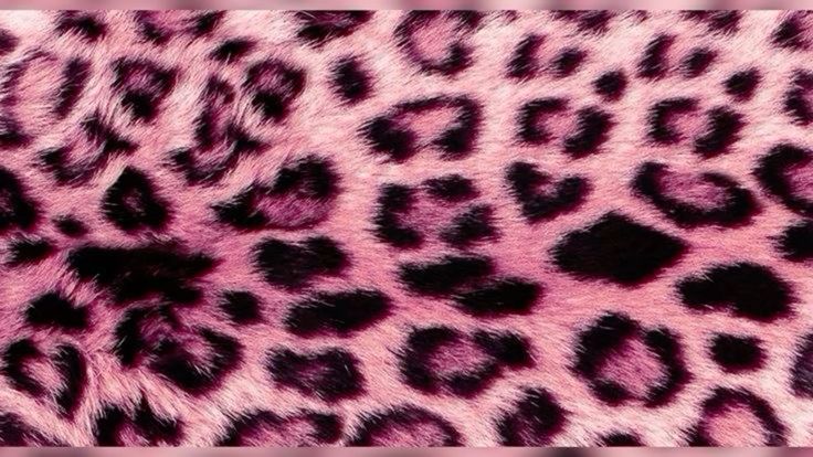 sleepyloona banner